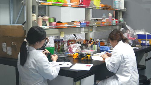 小玩具玩轉(zhuǎn)大市場(chǎng) 玩具禮品之都活力無限，技術(shù)服務(wù)賦能產(chǎn)業(yè)升級(jí)